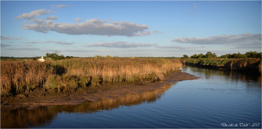 BLOG-DSC_25780-leyre sentier le Teich