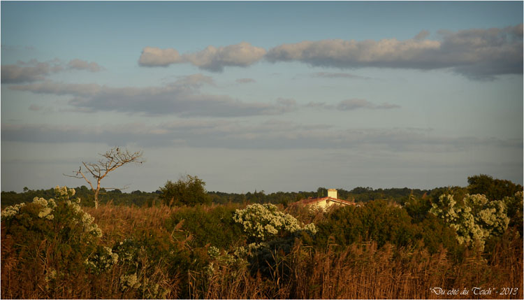 BLOG-DSC_25788-Leyre sentier le Teich
