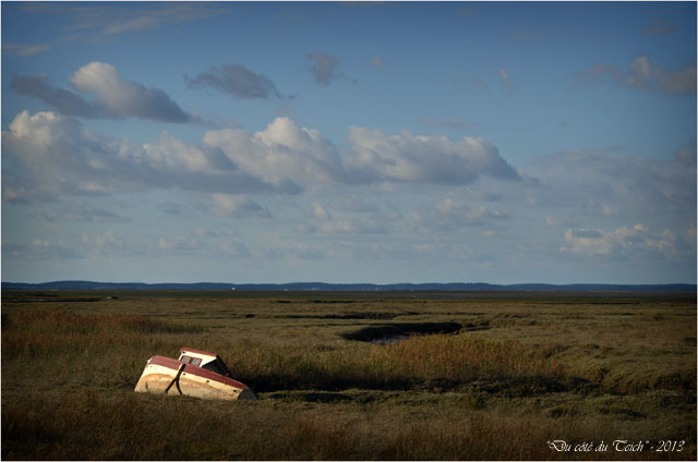 BLOG-DSC_25795-bateau échoué Gujan