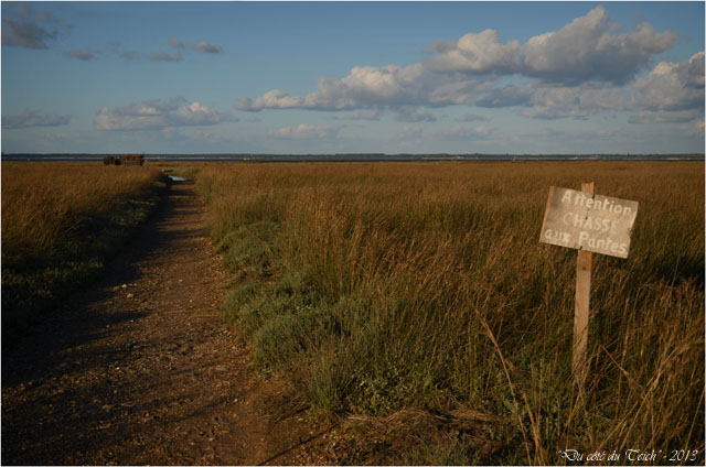 BLOG-DSC_25807-chasse aux pantes
