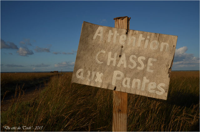 BLOG-DSC_25809-chasse aux pantes