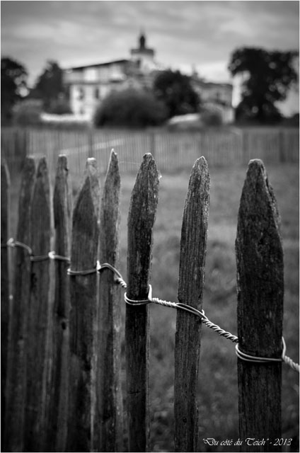 BLOG-DSC_25918-château domaine de Certes Audenge 1