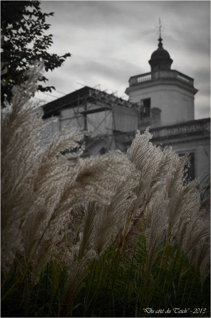 BLOG-DSC_25920-château domaine de Certes Audenge