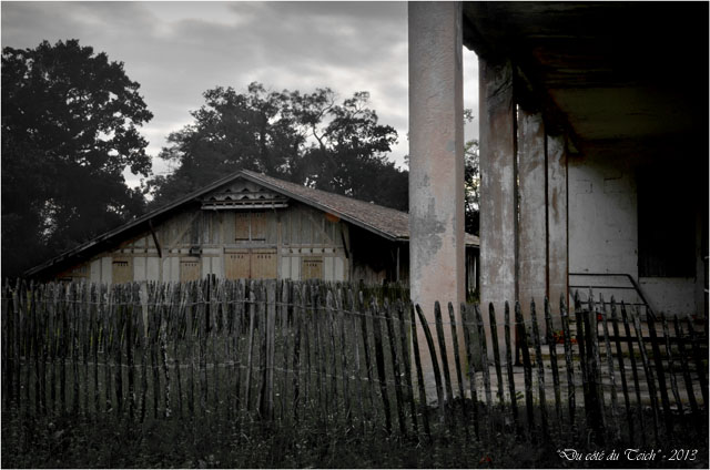 BLOG-DSC_25921-ferme et château Certes