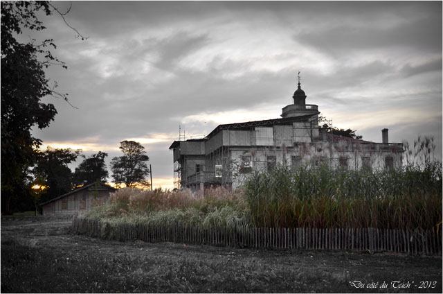 BLOG-DSC_25957-ferme et château domaine de Certes Audenge