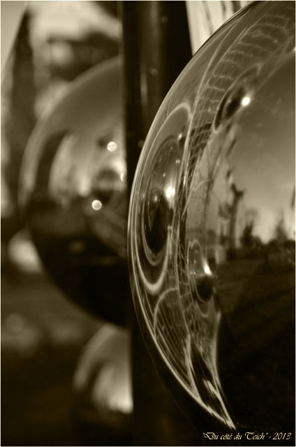 BLOG-DSC_18980-sapin de Noël mairie la Teste janvier 2013 sépia