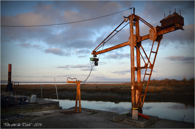BLOG-DSC_26554-grue port Barbotière