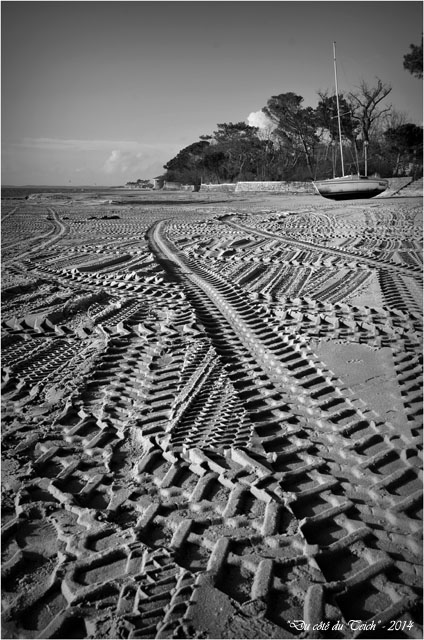 BLOG-DSC_26558-traces pneus plage Taussat N&B2