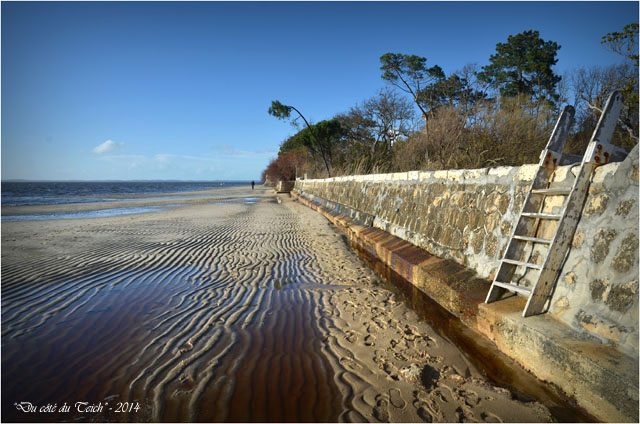 BLOG-DSC_26559-plage Taussat