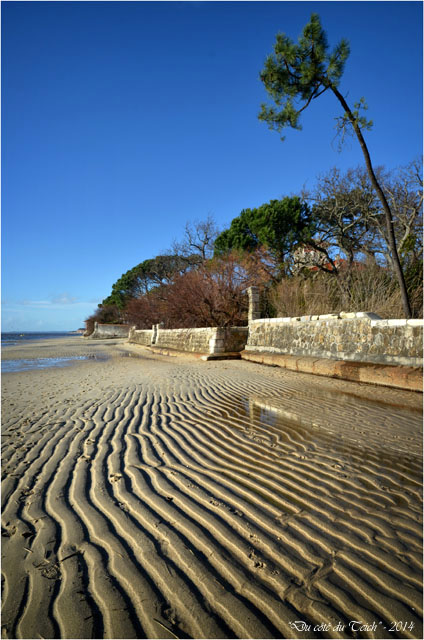 BLOG-DSC_26561-plage Taussat