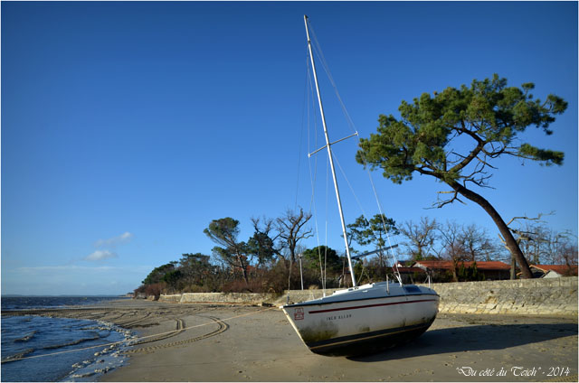 BLOG-DSC_26576-plage de Taussat