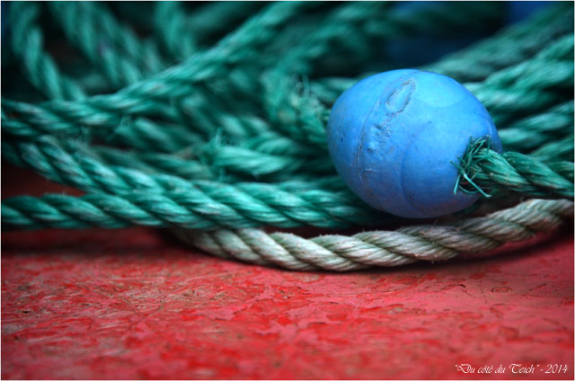 BLOG-DSC_26790-flotteur et cordages