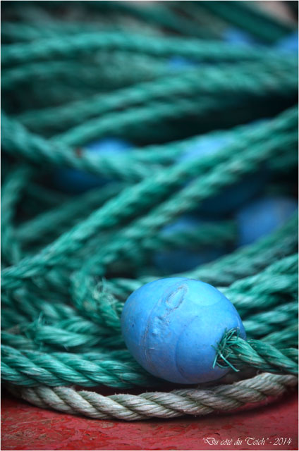 BLOG-DSC_26791-flotteur et cordages