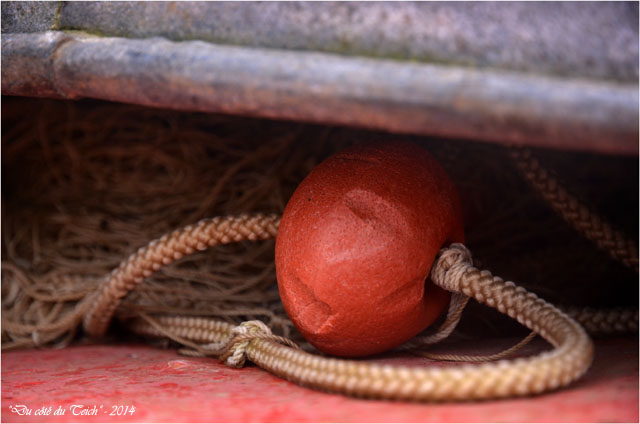 BLOG-DSC_26792-flotteur sous cuve
