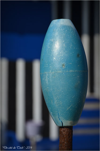 BLOG-DSC_26951-Amaïta Lapin Blanc