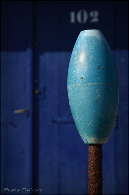 BLOG-DSC_26952-Amaïta Lapin Blanc