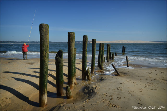BLOG-DSC_27154-pointe Cap-Ferret et dune du Pyla