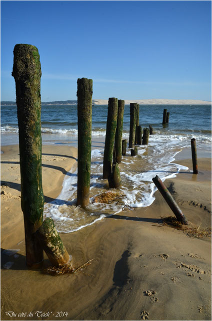 BLOG-DSC_27159-pointe Cap-Ferret et dune du Pyla