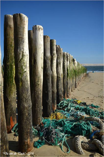 BLOG-DSC_27168-pointe Cap-Ferret et dune du Pyla