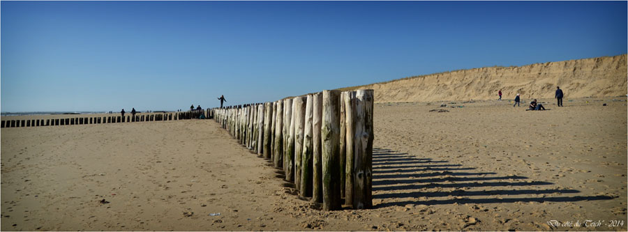 BLOG-DSC_27175-pointe Cap-Ferret