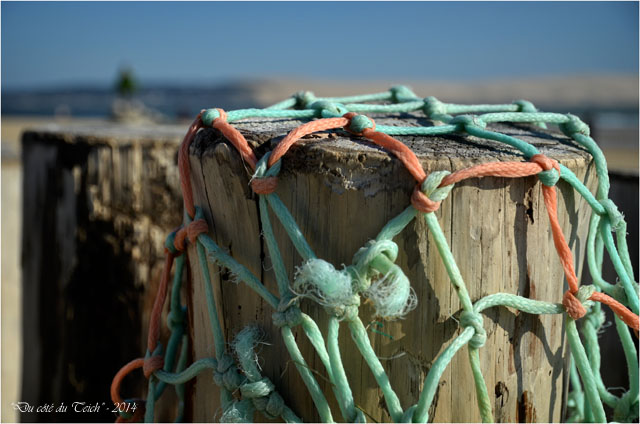 BLOG-DSC_27187-épi pointe Cap-Ferret et dune du Pyla