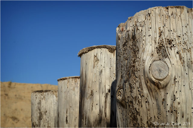 BLOG-DSC_27197-pointe Cap-Ferret