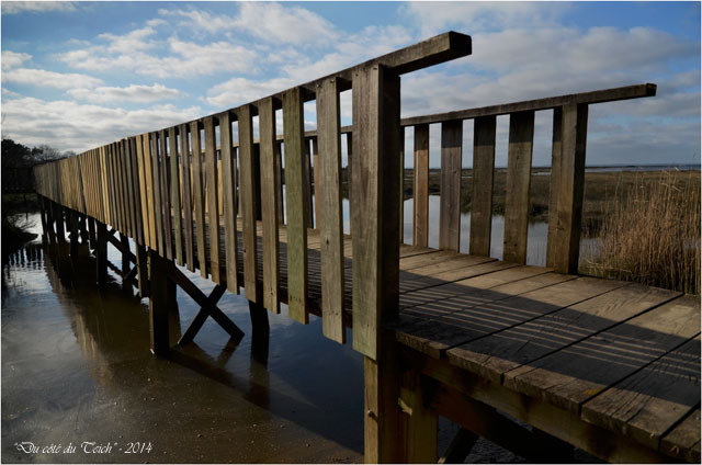 BLOG-DSC_27336-passerelle Gujan