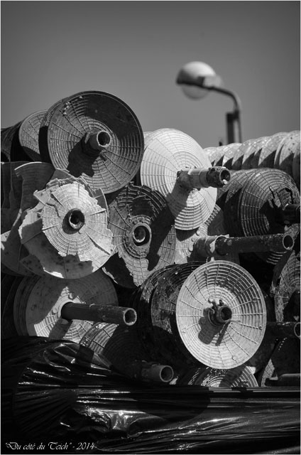 BLOG-DSC_27573-collecteurs à lamelles port Arès N&B