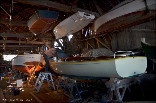 BLOG-DSC_27633-Loup l'Oursin chantier Bossuet