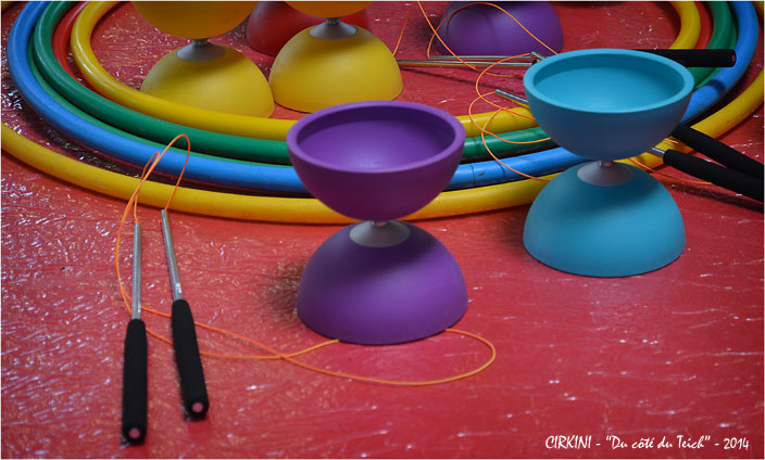 BLOG-DSC_27893-journée découverte Cirkini le Teich