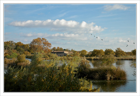 BLOG-DSC_0310-Graveyron & envol oiseaux