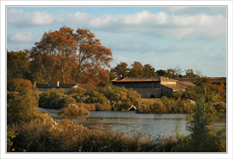 BLOG-DSC_0312-Graveyron & chêne roux