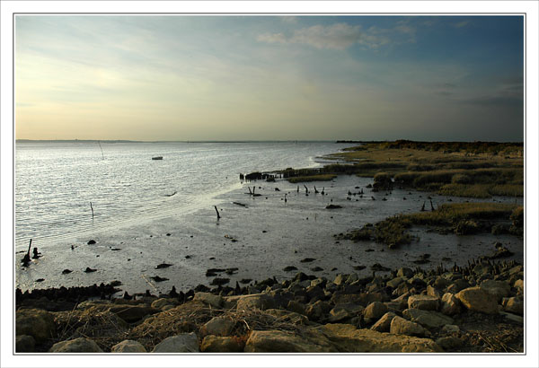 BLOG-DSC_0370-littoral Graveyron vue Arcachon & Bassin