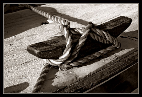 BLOG-DSC_0466-noeud marin sépia