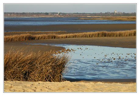 BLOG-DSC_0570-zoom plage et Audenge