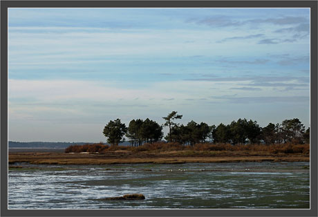BLOG-DSC_0668-Les Quinconces Andernos