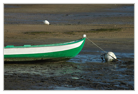 BLOG-DSC_0683-proue verte Andernos