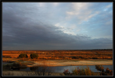 BLOG-DSC_0764-plaines du Teich, plan d'eau et port