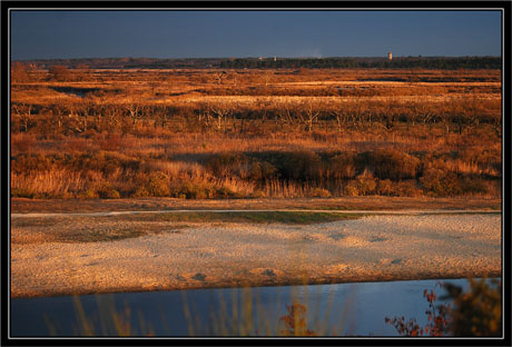 BLOG-DSC_0769-plan d'eau,Leyre, plaines et Audenge