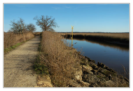 BLOG-DSC_0784-sentier et Leyre