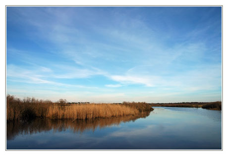 BLOG-DSC_0815-Leyre au 1er pont