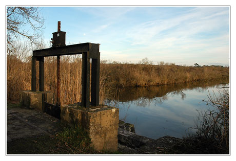 BLOG-DSC_0867-écluse plaines du Teich