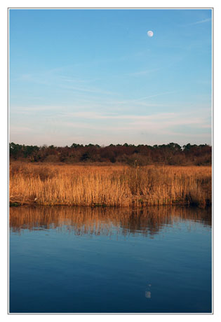 BLOG-DSC_0881-lune sur les plaines