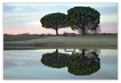 BLOG-DSC_0936-pins plan d'eau