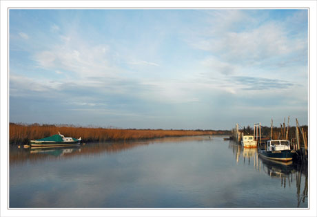 BLOG-DSC_0990-la Leyre au port des Tuiles Biganos