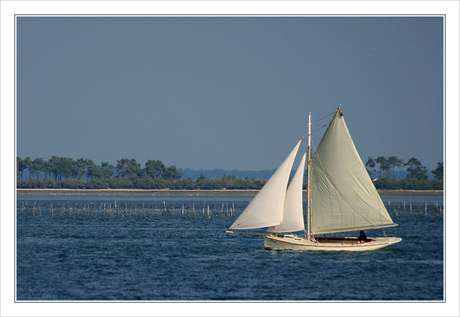 BLOG-DSC_10025-rec-voilier