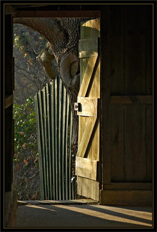 BLOG-DSC_1027-porte poste d'affût