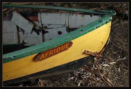 BLOG-DSC_1057-poupe Afrique