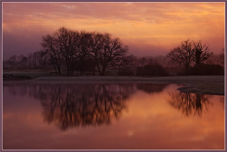 BLOG-DSC_1063-l'heure de se lever BLOG-DSC_1063-l'heure de se lever