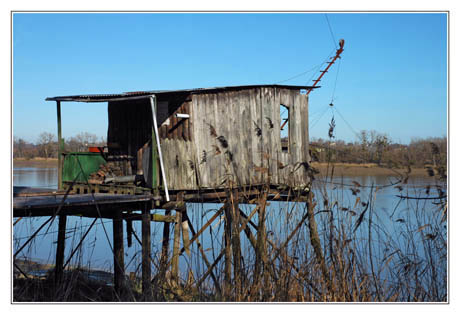 BLOG-DSC_1193-Carrelet Arcins